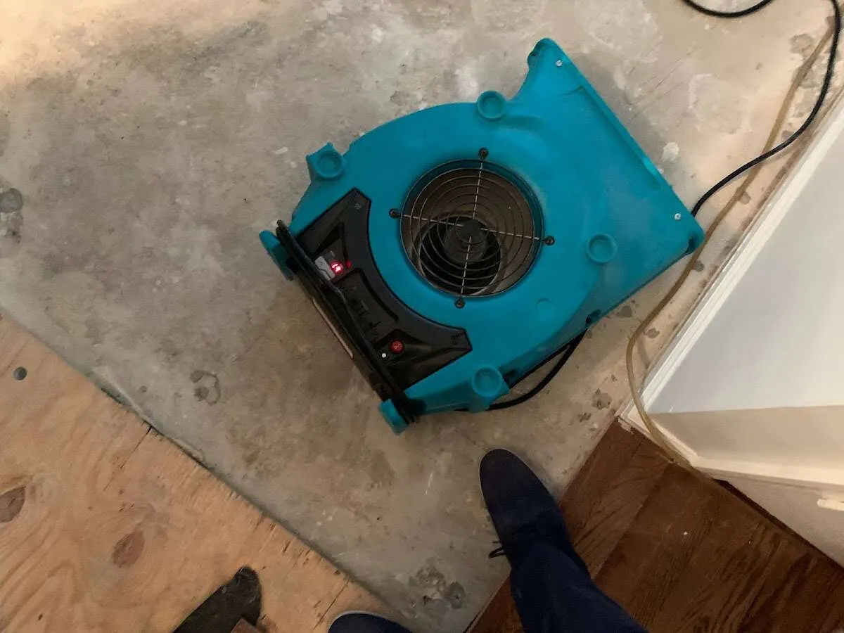 Air mover drying subfloor during Leak Detection & Repair in Elba